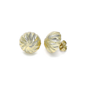 Arete Gold filled Stud Boton