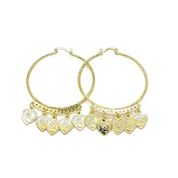 Argolla Gold filled huggie Dorada